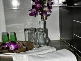 Albergue The Phoenix Paddington *